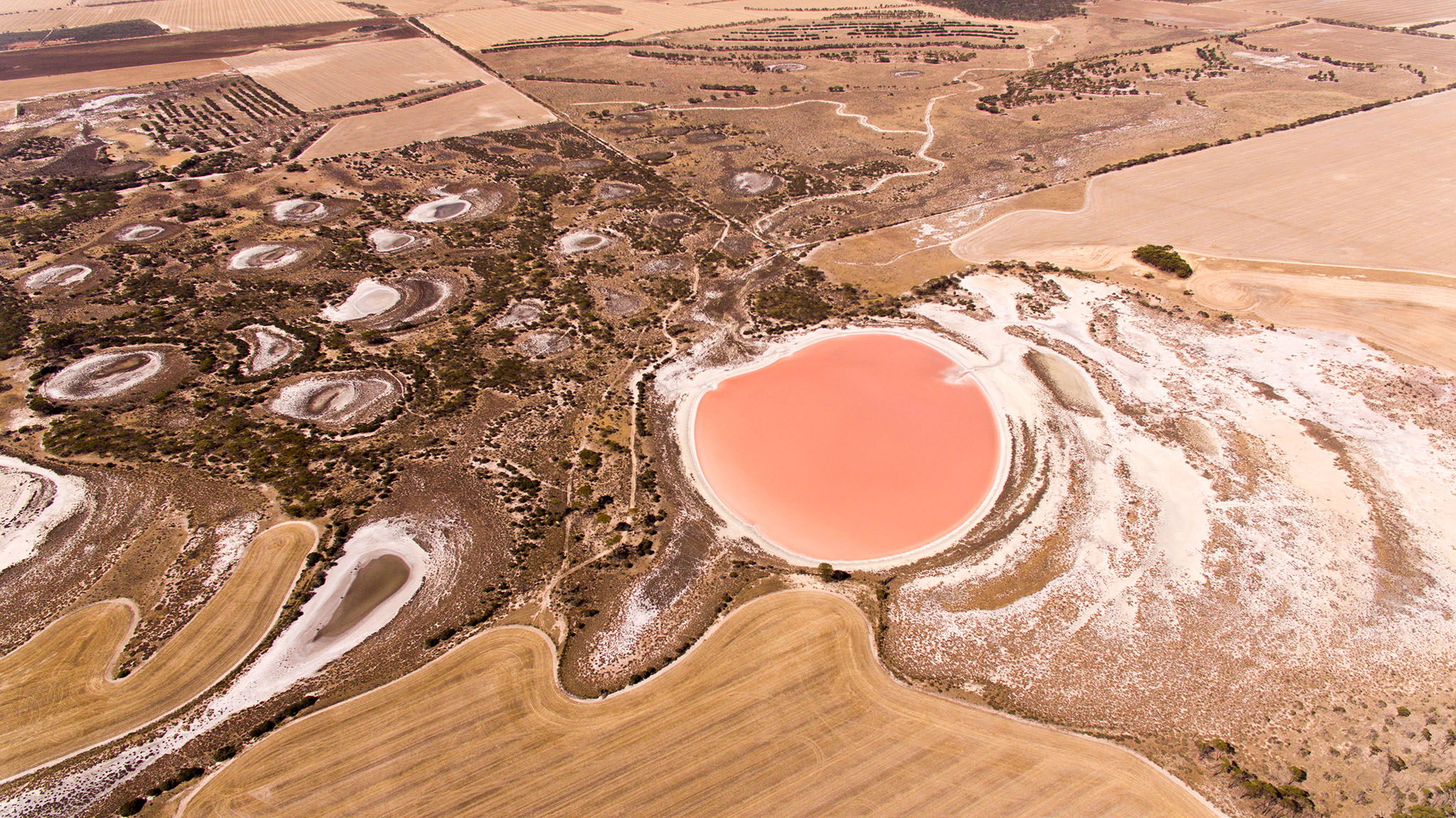 A pink salt lake creates a striking impact in this aerial landscape photo by Caro Telfer, photographer.