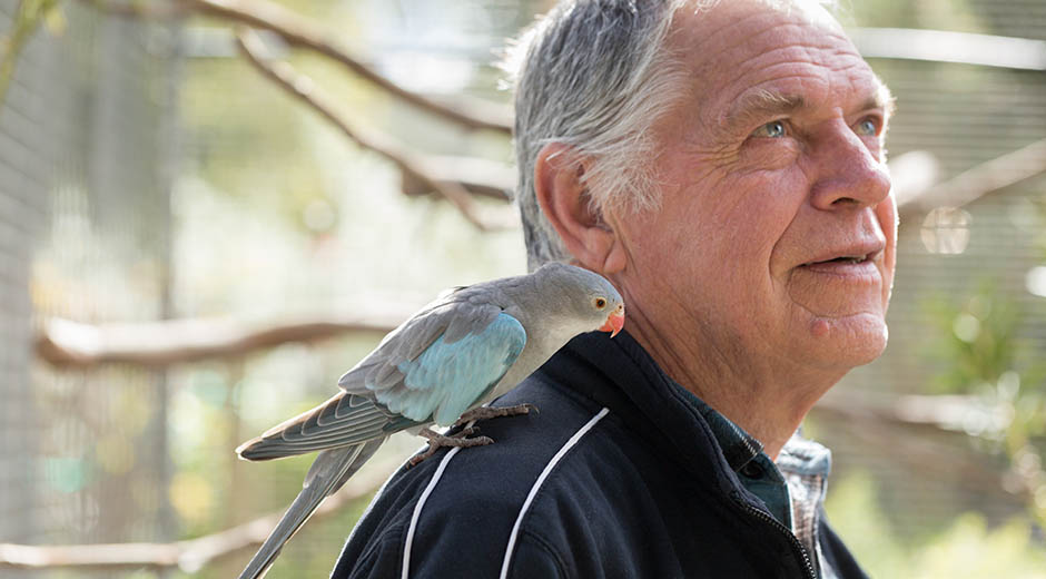 portrait photo of a man and his pet parrot by caro telfer, photographer
